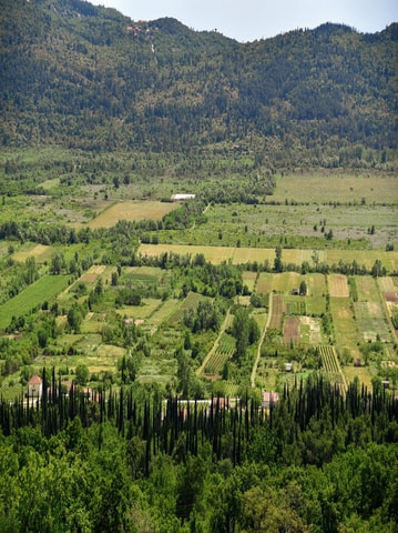 Vanuit Dubrovnik: wijnproeverij van een halve dag en stadstour door Cavtat