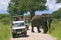 9 días Best of Kenya Wildlife Luxury Safari con vuelos - Housity