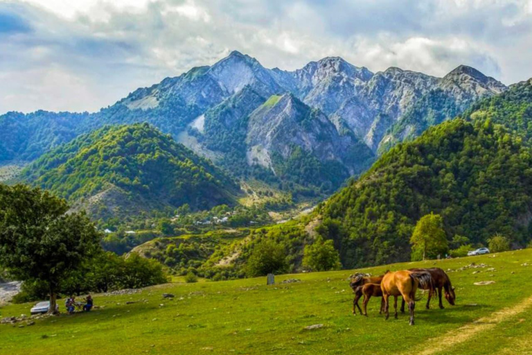 Balakan, Zagatala, Gakh, Sheki, Gabala, and Mingachevir.