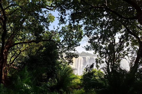 Tour guidato delle Cascate Vittoria e safari nel Parco Chobe