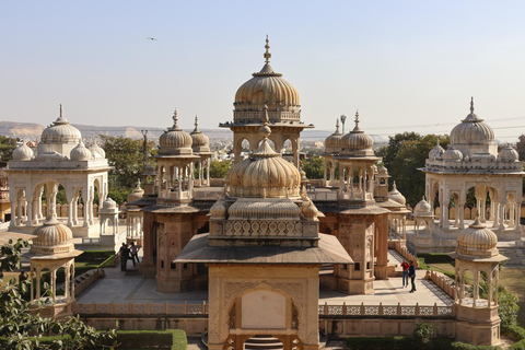 Tour di mezza giornata della città di Jaipur in E-Rickshaw con autista femminileTour in E-Rickshaw di Jaipur con guida