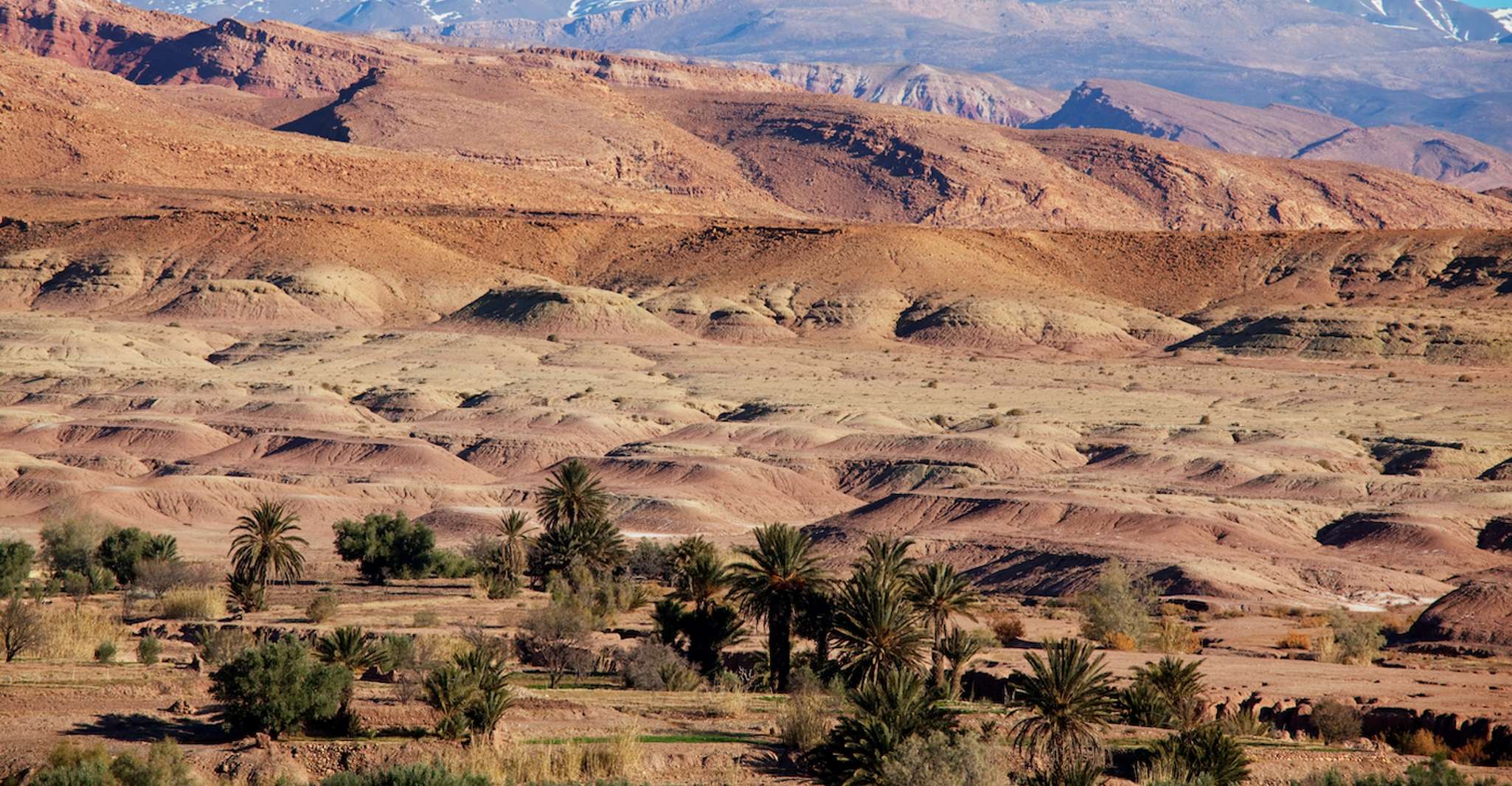 Privé 14 Dagen Ronde van Marokko vanuit Marrakech - Hizvo