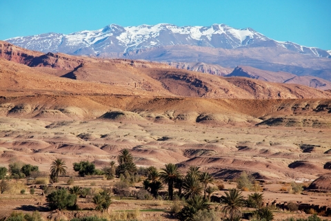 Tour Privado de 14 Días por Marruecos desde MarrakechViaje Privado de 14 Días por Marruecos - Alojamiento de Lujo