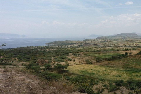 Addis Ababa: Melka Kunture, Adadi, Tiya Prehistoric Day Trip