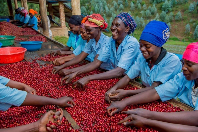 Kigali: 2-Day Kinunu Coffee Tour & Lake Kivu Exploration