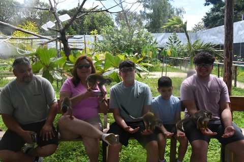 Puerto Plata: Monkey home, Damajagua Waterfalls & City Tour