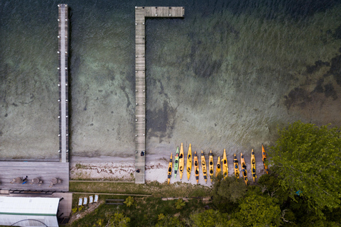 Rotorua: Excursión nocturna en kayak Starlight Gourmet con cena