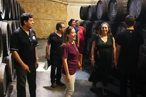 Tour particular de um dia ao Azeite, às Salinas e às Adegas