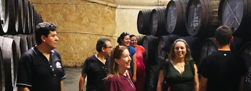 Visite privée de l'huile d'olive, des salines et des vignobles