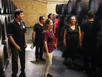 Tour privato di una giornata all'insegna dell'olio d'oliva, delle saline e della cantina