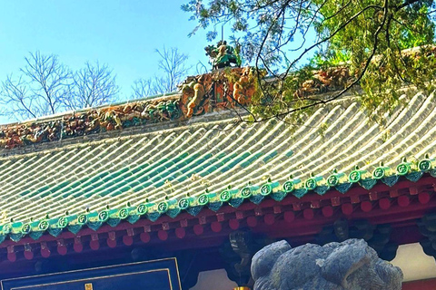 Henan: Shaolin Temple Entry Ticket and Kung Fu Show Tips