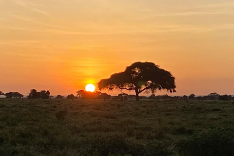 Airport: Nairobi National Park layover tour- pickup/drop-off