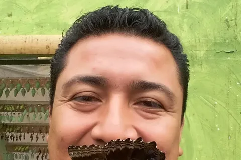 Da Quito: Foresta nuvolosa di Mindo, escursione di un'intera giornata con pranzo