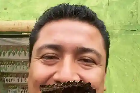 Da Quito: Foresta nuvolosa di Mindo, escursione di un'intera giornata con pranzo