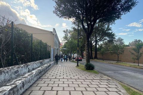 San José: Customizable Private Walking Tour