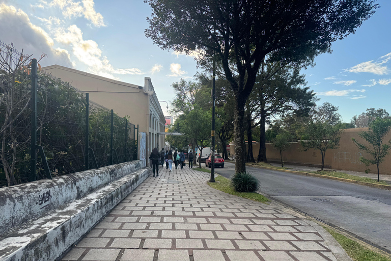 San José: Customizable Private Walking Tour