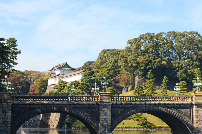 Tokyo: TeamLab Borderless & Imperial Palace History Tour