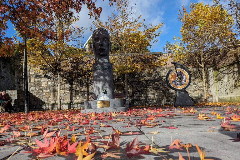 Kilkenny: visite à pied des points forts historiquesTournée allemande