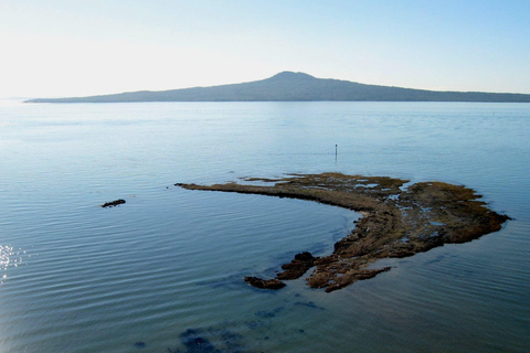 Auckland: Stadsrondleiding met wijnproeverij en Black Sand Beach