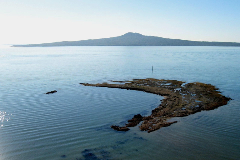 Auckland: Stadsrondleiding met wijnproeverij en Black Sand Beach