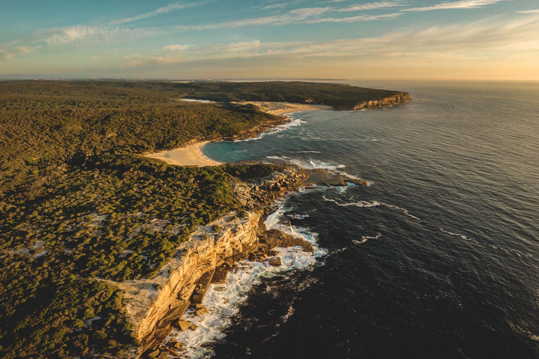Sydney: Royal National Park tour with picnic RNP Private Tour