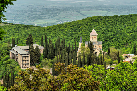 From Tbilisi: Sighnagi Day Tour with Wine Tasting & Beauty