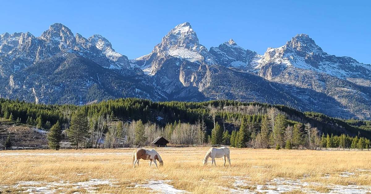 Bozeman Yellowstone & Grand Teton National Park with Hotel GetYourGuide