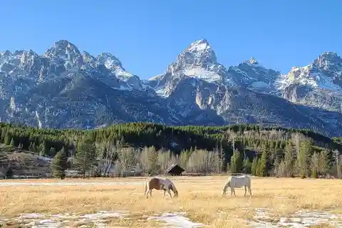 Bozeman: Yellowstone & Grand Teton National Park with Hotel