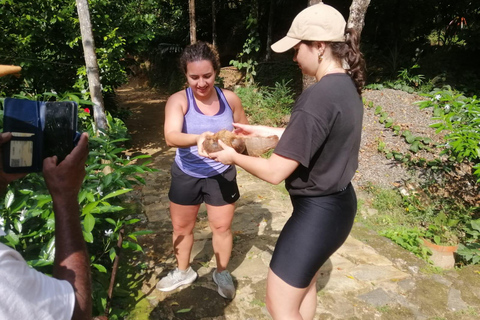 Kandy: Knuckles Mountain Range Full-Day Hike with Lunch