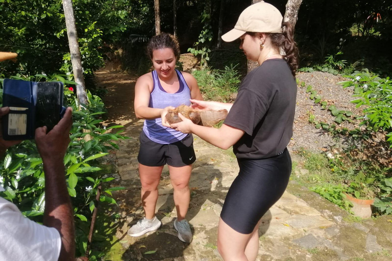 Kandy: Knuckles Mountain Range Full-Day Hike with Lunch