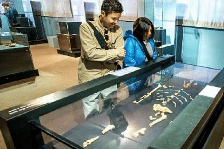 Discover Addis Ababa City Tour: History, Culture & Tradition