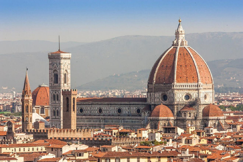 From Rome private Tour to Florence and Pisa