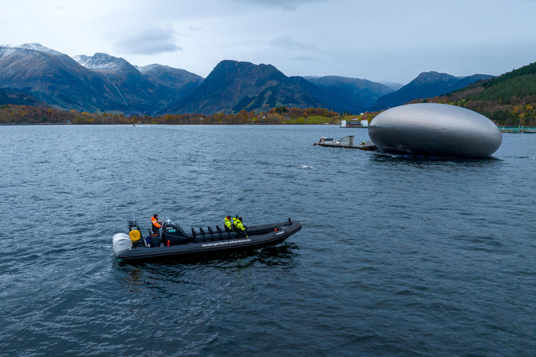 Majesteit Rosendal: Exclusief RIB avontuur in HardangerfjordRosendal: privé RIB-safaritocht door Hardangerfjord