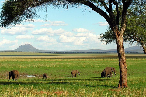 2-Day Tarangire & Ngorongoro Safari from Zanzibar