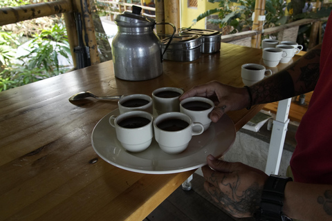 Minca : atelier chocolaterie avec Jungle JoeMinca : Atelier chocolaterie avec Jungle Joe