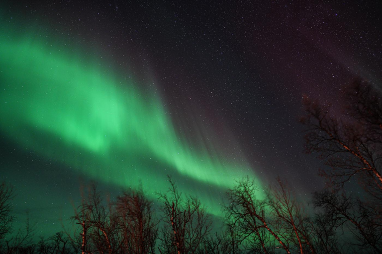 Tromsø: Northern Lights Tour with Local Guide and Photos