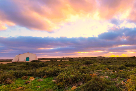 Jeep Safari Southwest - Half-Day Pick-up from Lagos to Praia da Luz