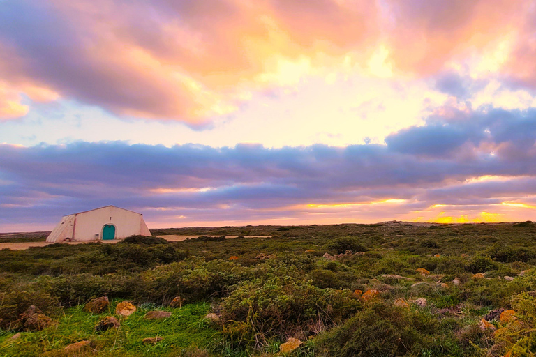 Jeep Safari Southwest - Half-Day Pick-up from Lagos to Praia da Luz