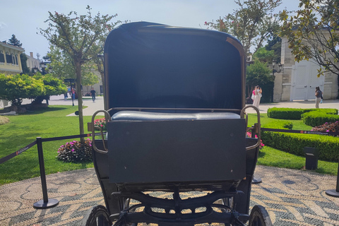 Istanbul: Palazzo e Museo di Yildiz: Salta il biglietto di ingresso prioritario