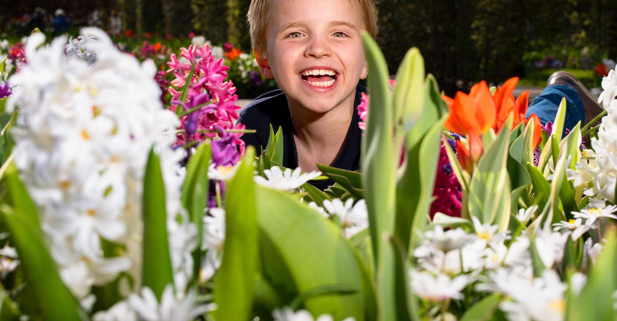 Amsterdam: Keukenhof Entry & Shuttlebus with Flexible Return photo 11