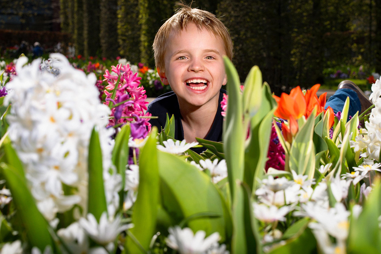 From Rotterdam and The Hague: Bus Tour with Keukenhof Ticket