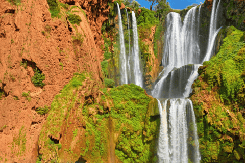 乌祖德瀑布：导游陪同的一日旅行和游船乌祖德瀑布：私人一日游（含导游及乘船游览）