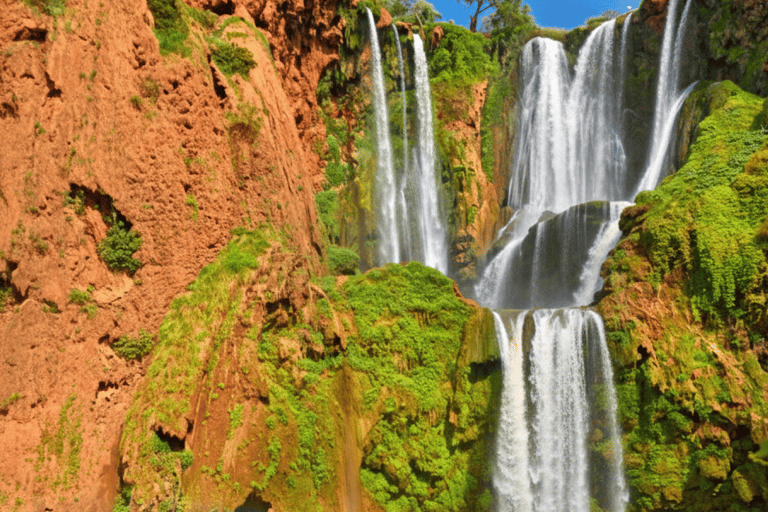 乌祖德瀑布：导游陪同的一日旅行和游船乌祖德瀑布：私人一日游（含导游及乘船游览）