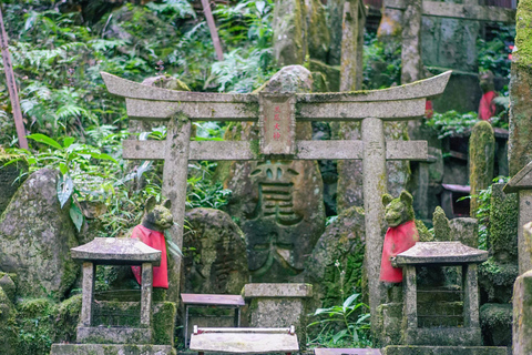 Kioto: tour de senderismo oculto de 3 horas por el santuario Fushimi Inari