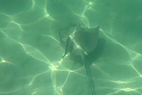 Punta Cana: Saona Island Tour with Lunch and Drinks