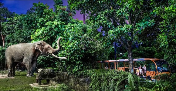 Night Safari Entry Ticket with Tram Ride & shared Transfers