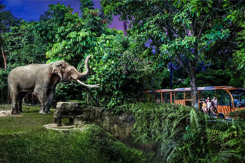 Night Safari Entry Ticket with Tram Ride & shared Transfers Night Safari with Tram Ride Entry Ticket only