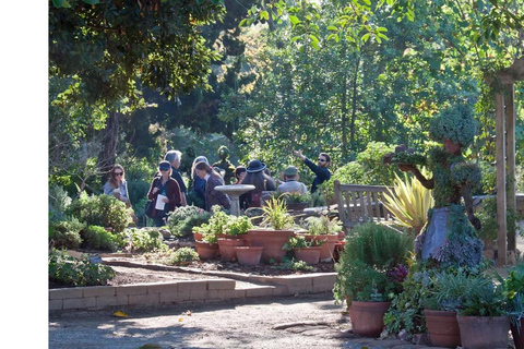 Billets d&#039;entrée au jardin botanique de San Diego et transport