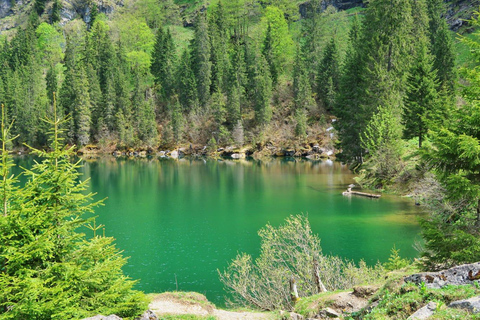 Interlaken: Scenic Walk and Raclette by the Mountain Lake