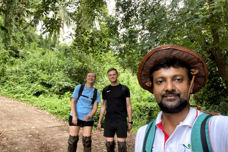 Tedo 7 Waterfalls Peak Adventure – Knuckles Mountain Range